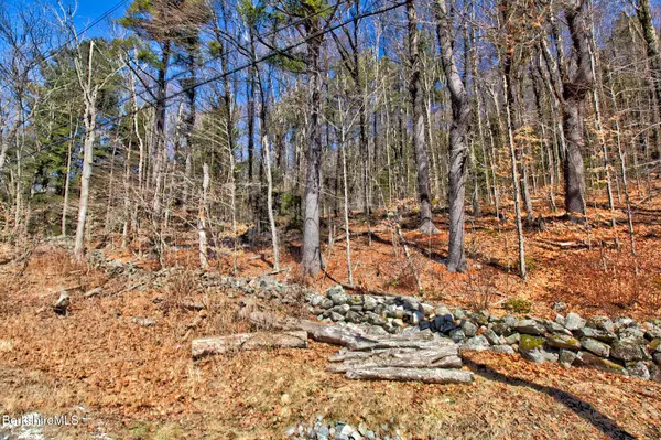 0 Tyringham Rd, Otis, MA 01253