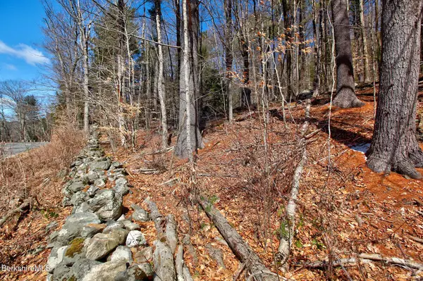 0 Tyringham Rd, Otis, MA 01253