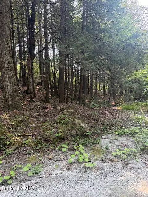 58 Stanley Rd, Otis, MA 01253