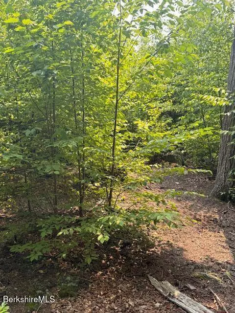 58 Stanley Rd, Otis, MA 01253