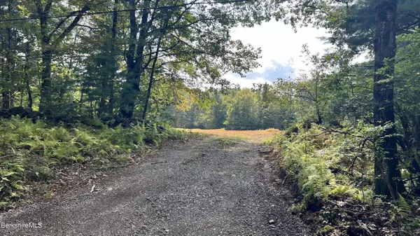 0 Rood Hill Rd, Sandisfield, MA 01255