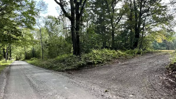0 Rood Hill Rd, Sandisfield, MA 01255