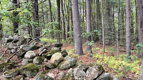 0 Rood Hill Rd, Sandisfield, MA 01255