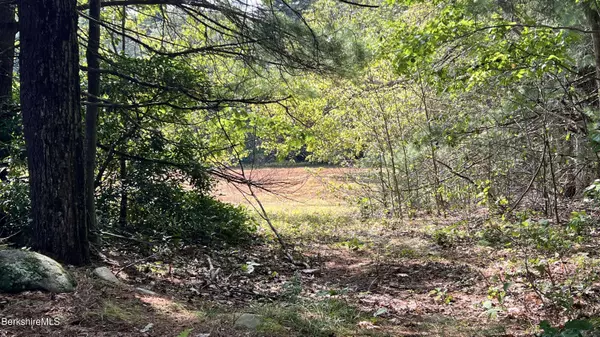 0 Rood Hill Rd, Sandisfield, MA 01255