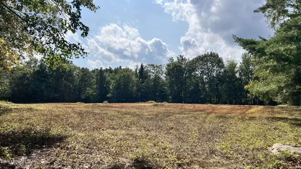 0 Rood Hill Rd, Sandisfield, MA 01255