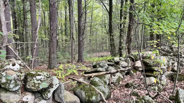 0 Rood Hill Rd, Sandisfield, MA 01255