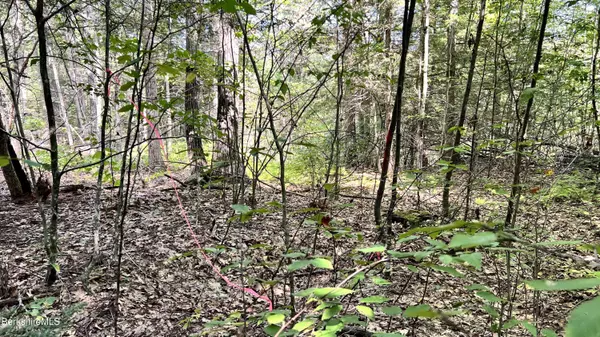 8 Hemlock Rd, Tyringham, MA 01264