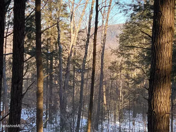 8 Hemlock Rd, Tyringham, MA 01264