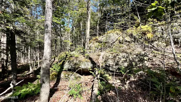 8 Hemlock Rd, Tyringham, MA 01264