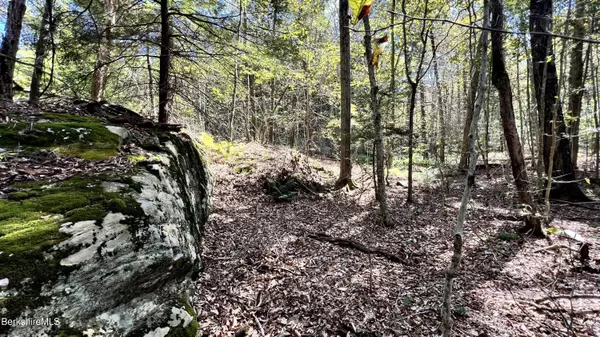 8 Hemlock Rd, Tyringham, MA 01264