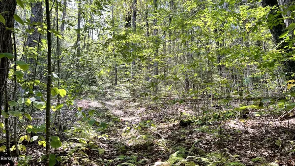 8 Hemlock Rd, Tyringham, MA 01264