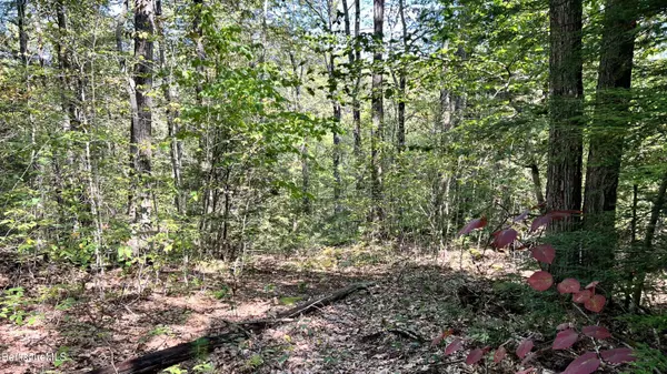 8 Hemlock Rd, Tyringham, MA 01264