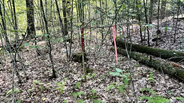 8 Hemlock Rd, Tyringham, MA 01264