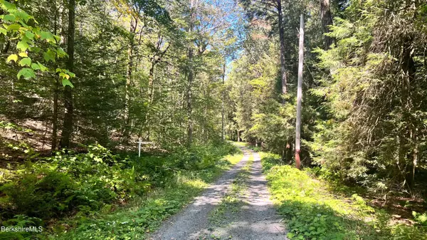 8 Hemlock Rd, Tyringham, MA 01264