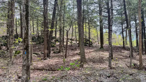 58 Stanley Rd, Otis, MA 01253