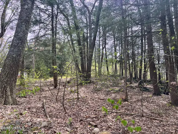 58 Stanley Rd, Otis, MA 01253