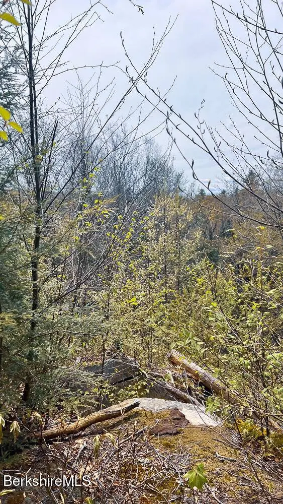 58 Stanley Rd, Otis, MA 01253