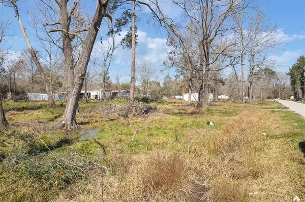 17188 Oak Grove LN, Montgomery, TX 77357