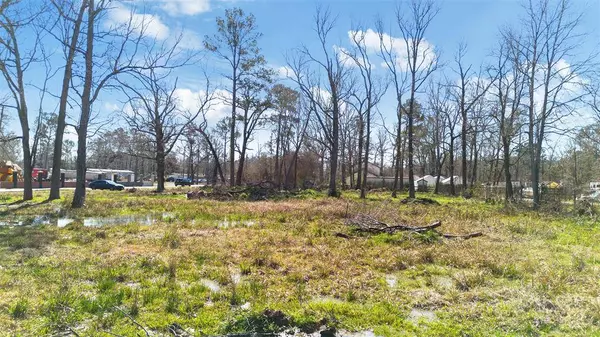 Montgomery, TX 77357,17188 Oak Grove LN