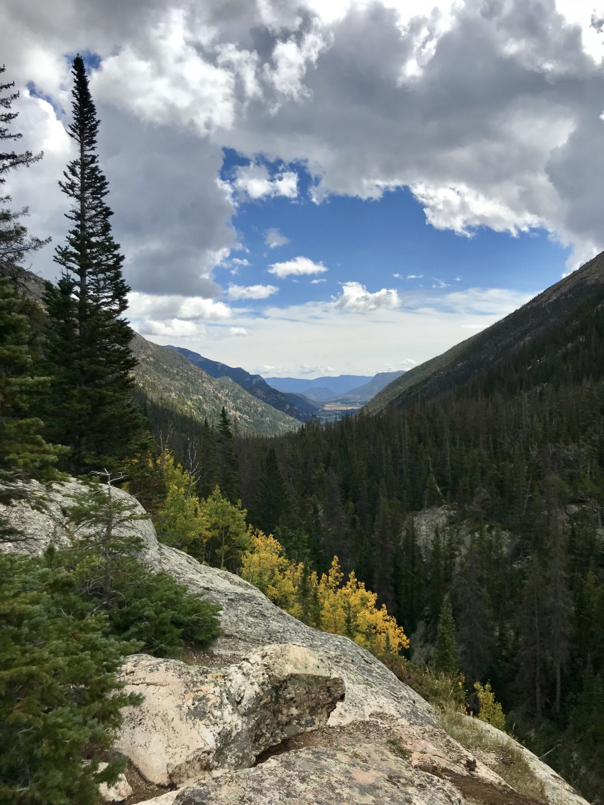 view from Old Fall River Road