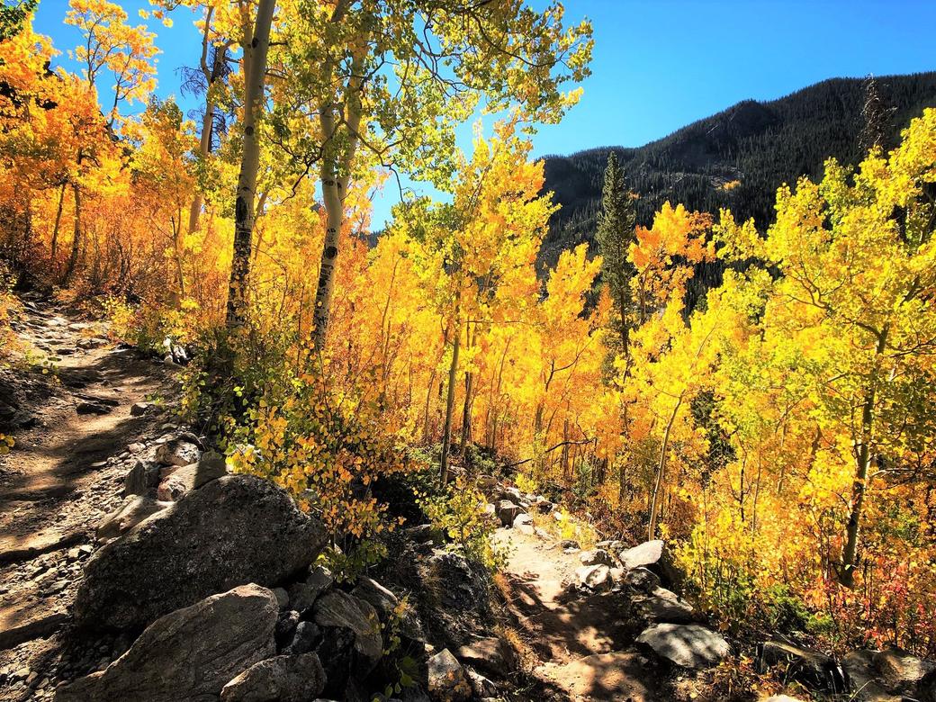 Cub Lake Hike RMNP