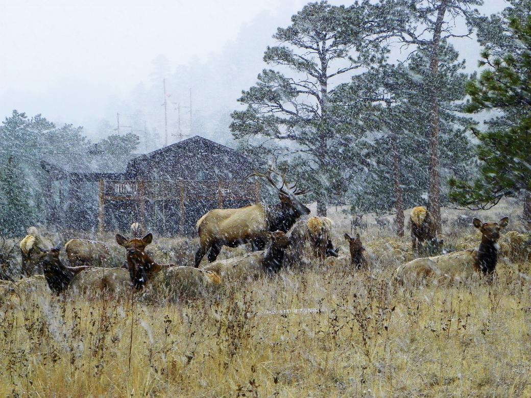 Estes Park Market Update October 2022