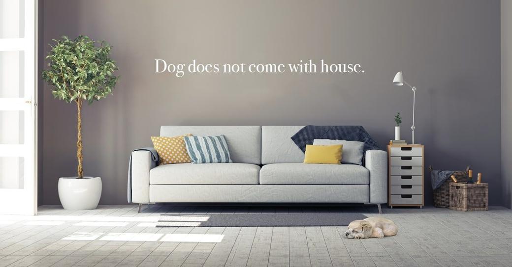 8 Ways to Make Your Home Appear More Valuable to Buyers