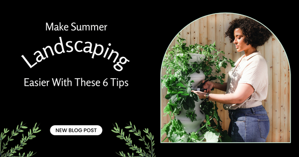 Make Summer Landscaping Easier With These 6 Tips,Gerald Mayo