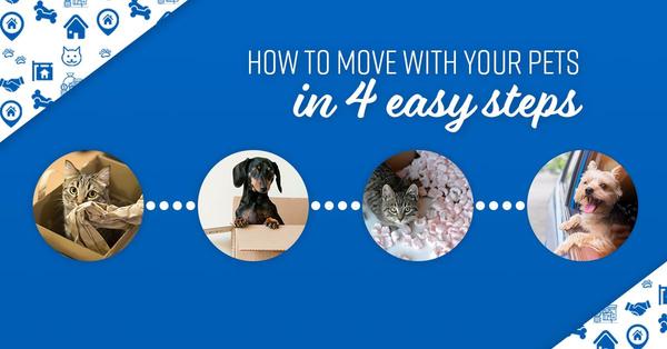 How to Move With Your Pets in 4 Easy Steps,Gerald Mayo