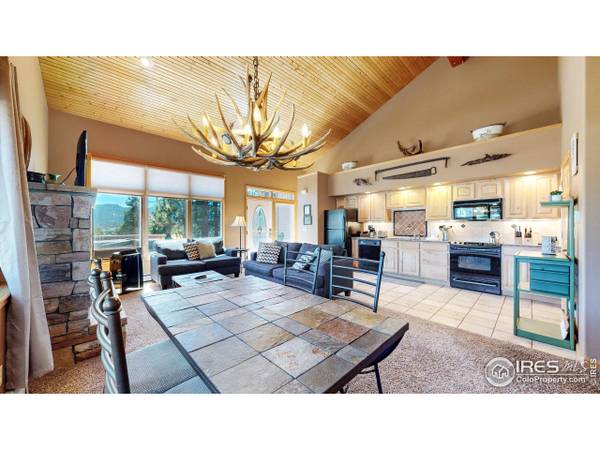 349 Overlook Ln, Estes Park, CO 80517