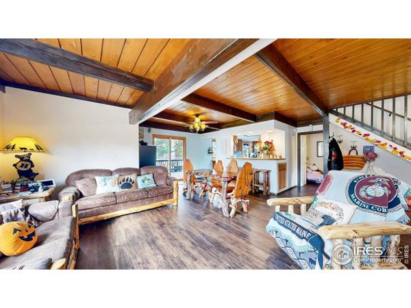 2319 Spruce Ave, Estes Park, CO 80517