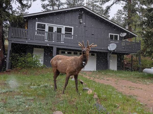 163 West Creek, Glen Haven, CO 80532