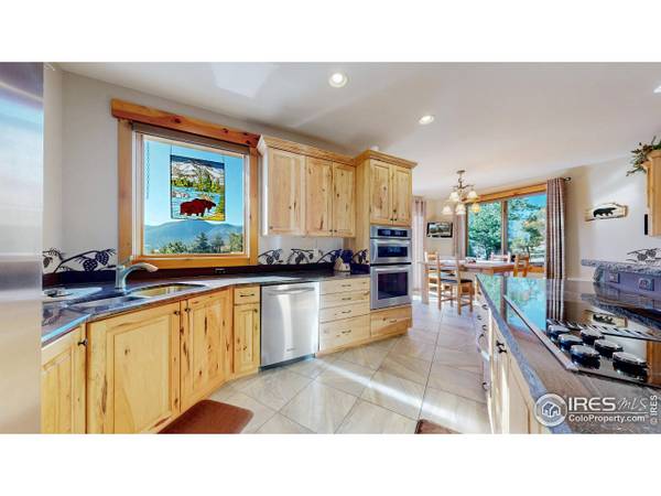 1049 Pine Knoll Dr, Estes Park, CO 80517