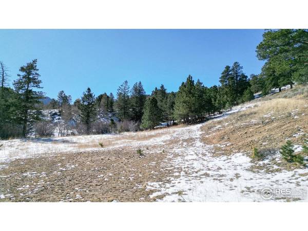 2799 Kiowa #Lot 24, Estes Park, CO 80517