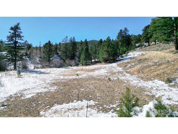 2799 Kiowa #Lot 24, Estes Park, CO 80517