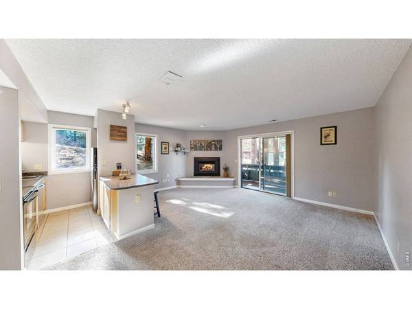 200 Riverside #Hallett-1, Estes Park, CO 80517