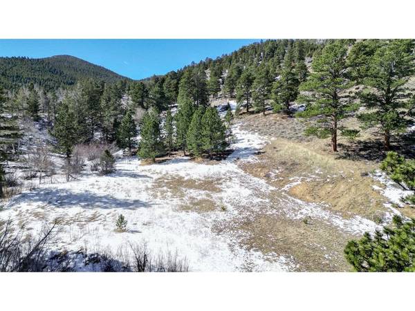 2799 Kiowa, Estes Park, CO 80517