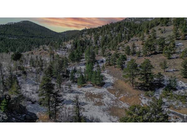 2799 Kiowa, Estes Park, CO 80517