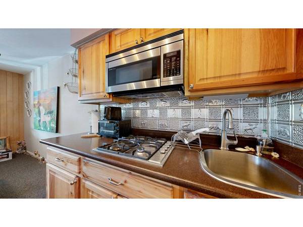1250 S Saint Vrain ##3, Estes Park, CO 80517