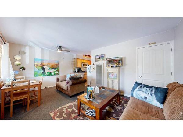 1250 S Saint Vrain ##3, Estes Park, CO 80517
