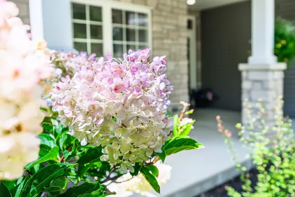 4428 S Sophia Court, Bloomington, IN 47401