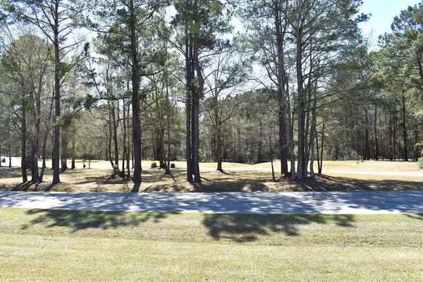 2523 Players Course Dr., Manning, SC 29102