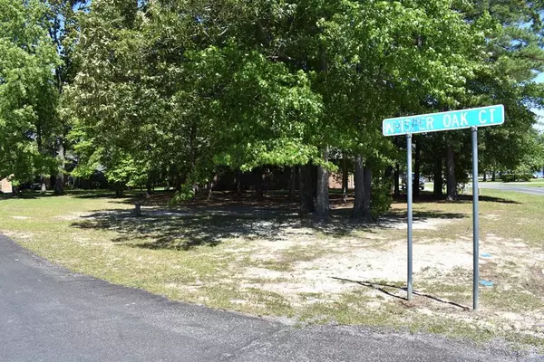 507 Oak Hill, Manning, SC 29102