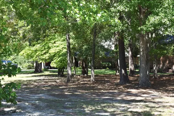 507 Oak Hill, Manning, SC 29102