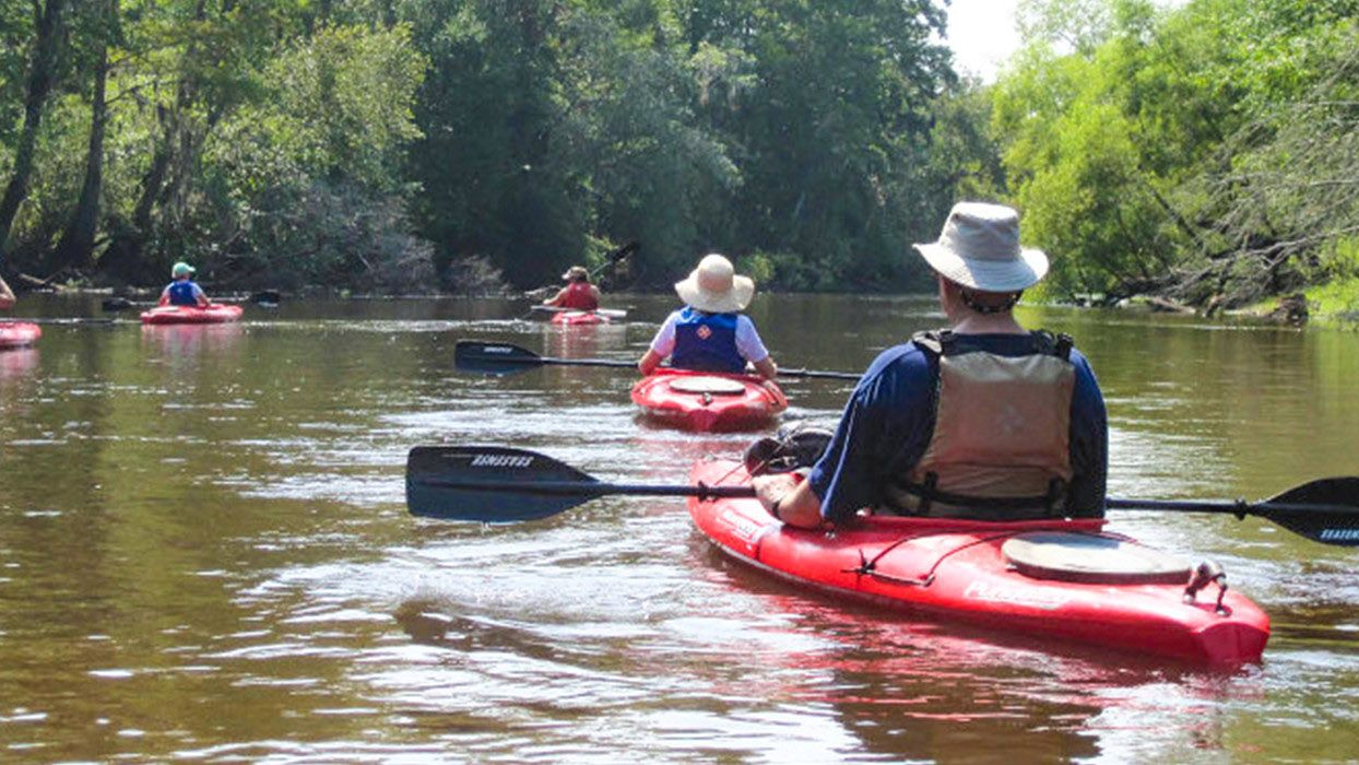 Givhans Ferry State Park near Ridgeville, SC with Edisto River access