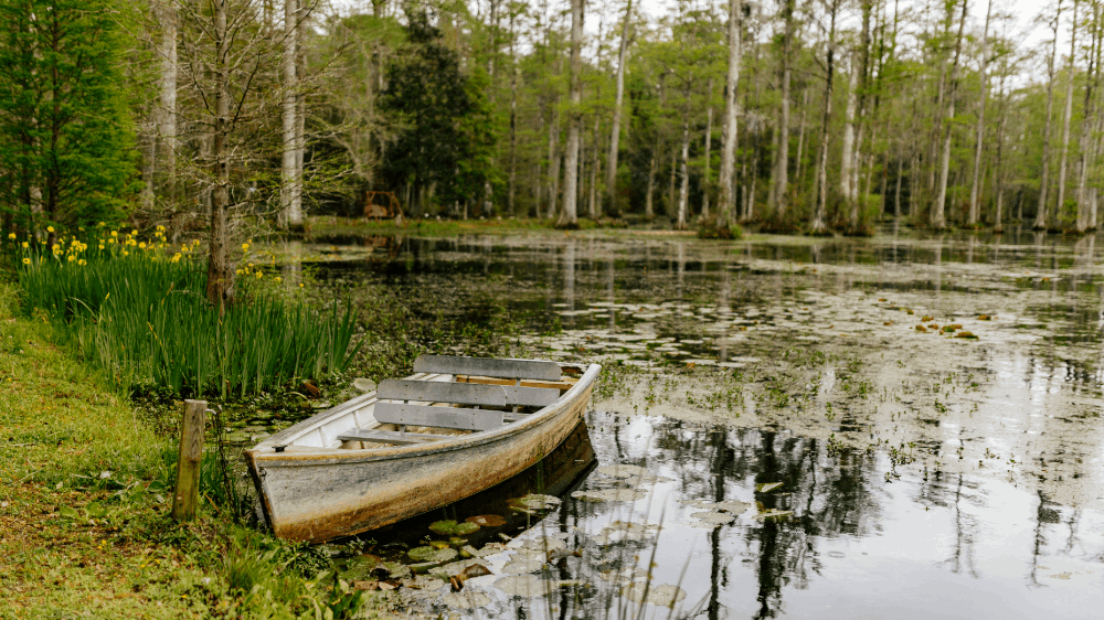 Cypress Gardens in Goose Creek, SC