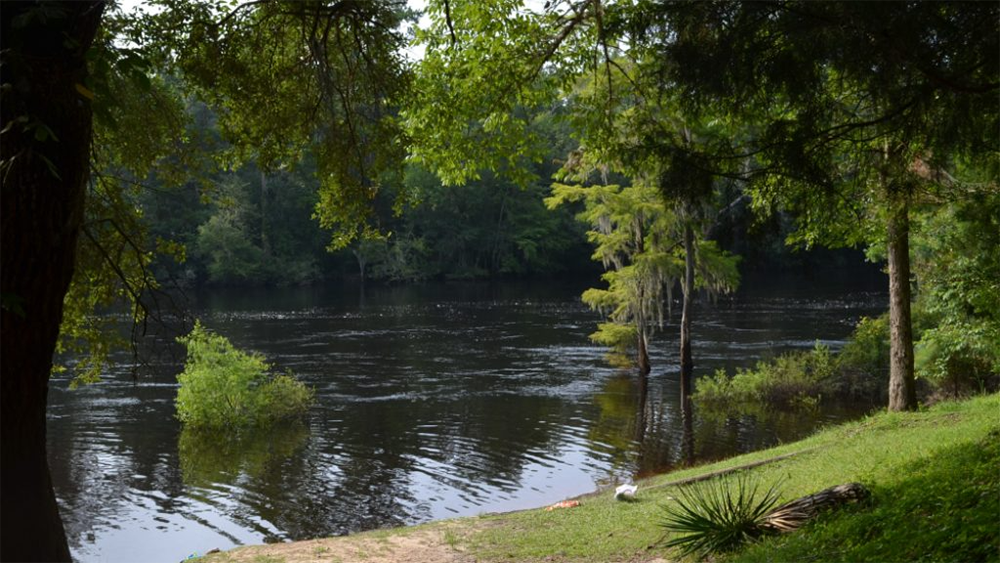 River Bluff Nature Trail in Givhans Ferry State Park via South Carolina Trails