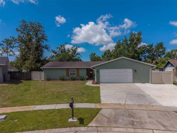4228 BRIARBERRY LN, Tampa, FL 33624