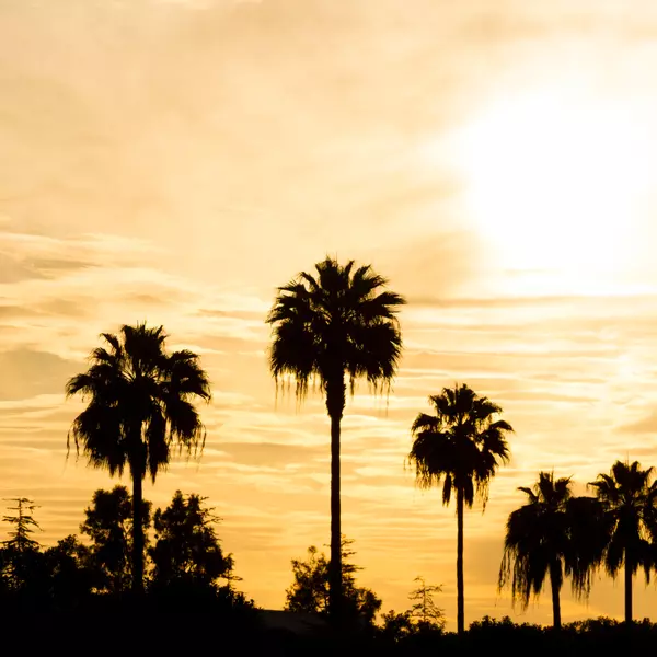 A Orange County Job Market That Defies High Interest Rates,Rick Lee