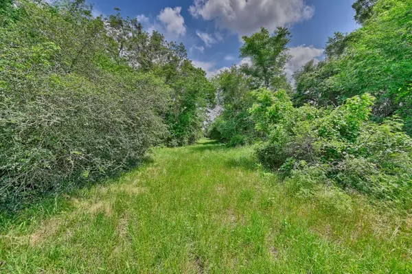 1589 Jeddo RD, Rosanky, TX 78953